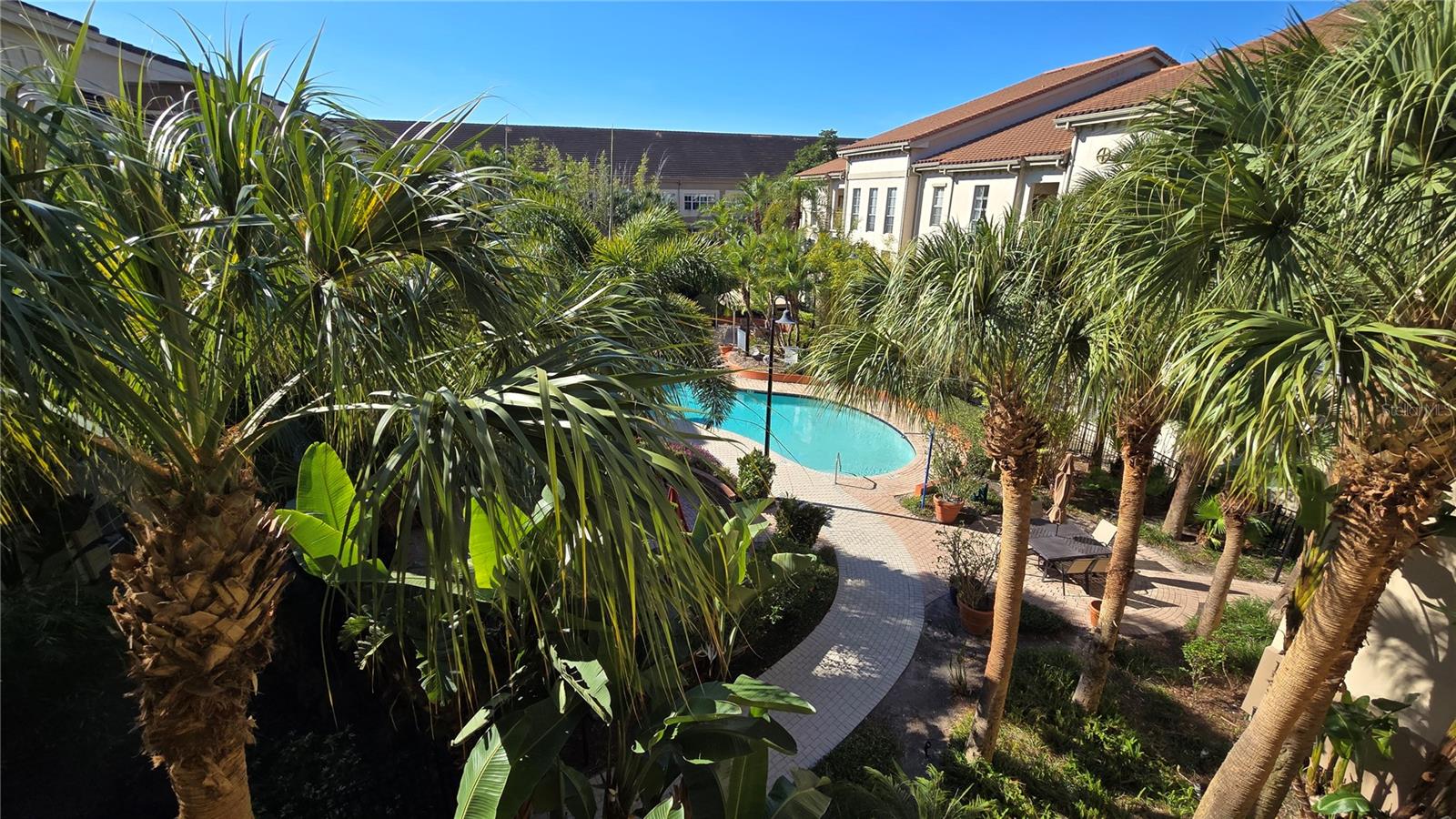 pool and common area