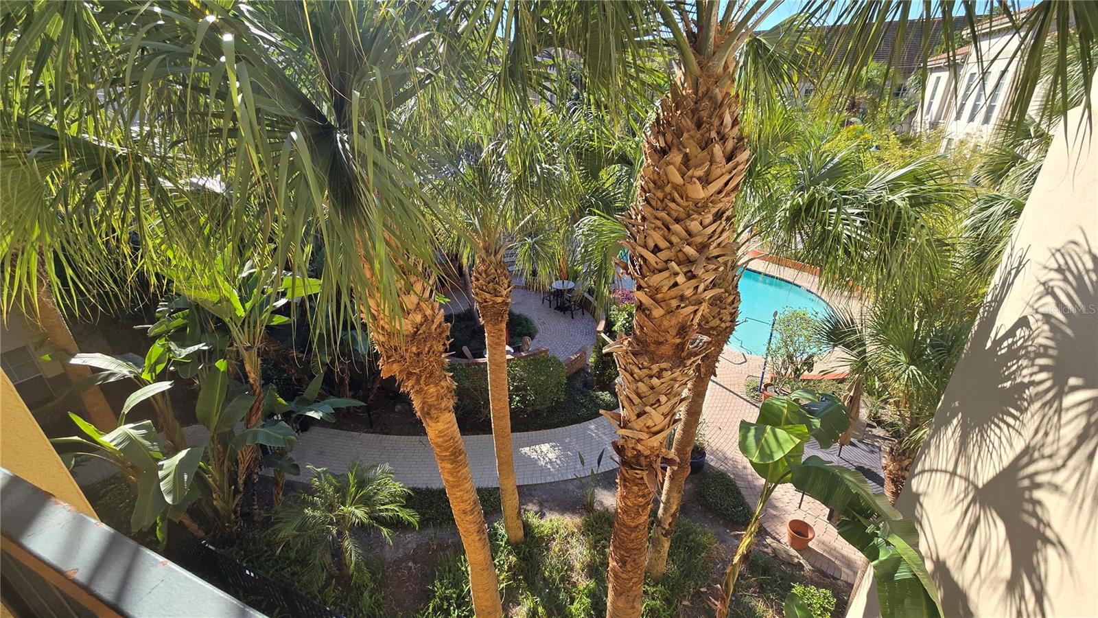 pool and common area