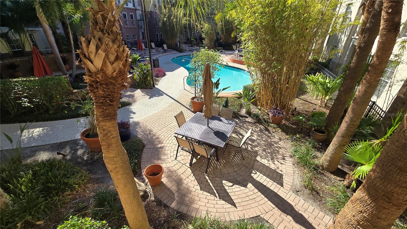 pool and common area