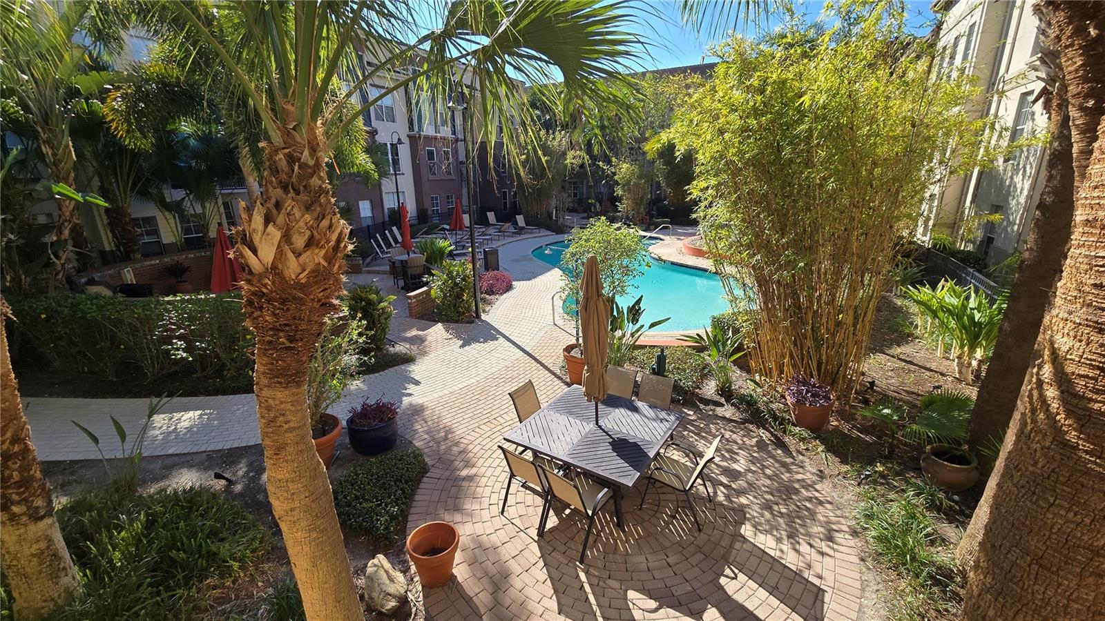 pool and common area