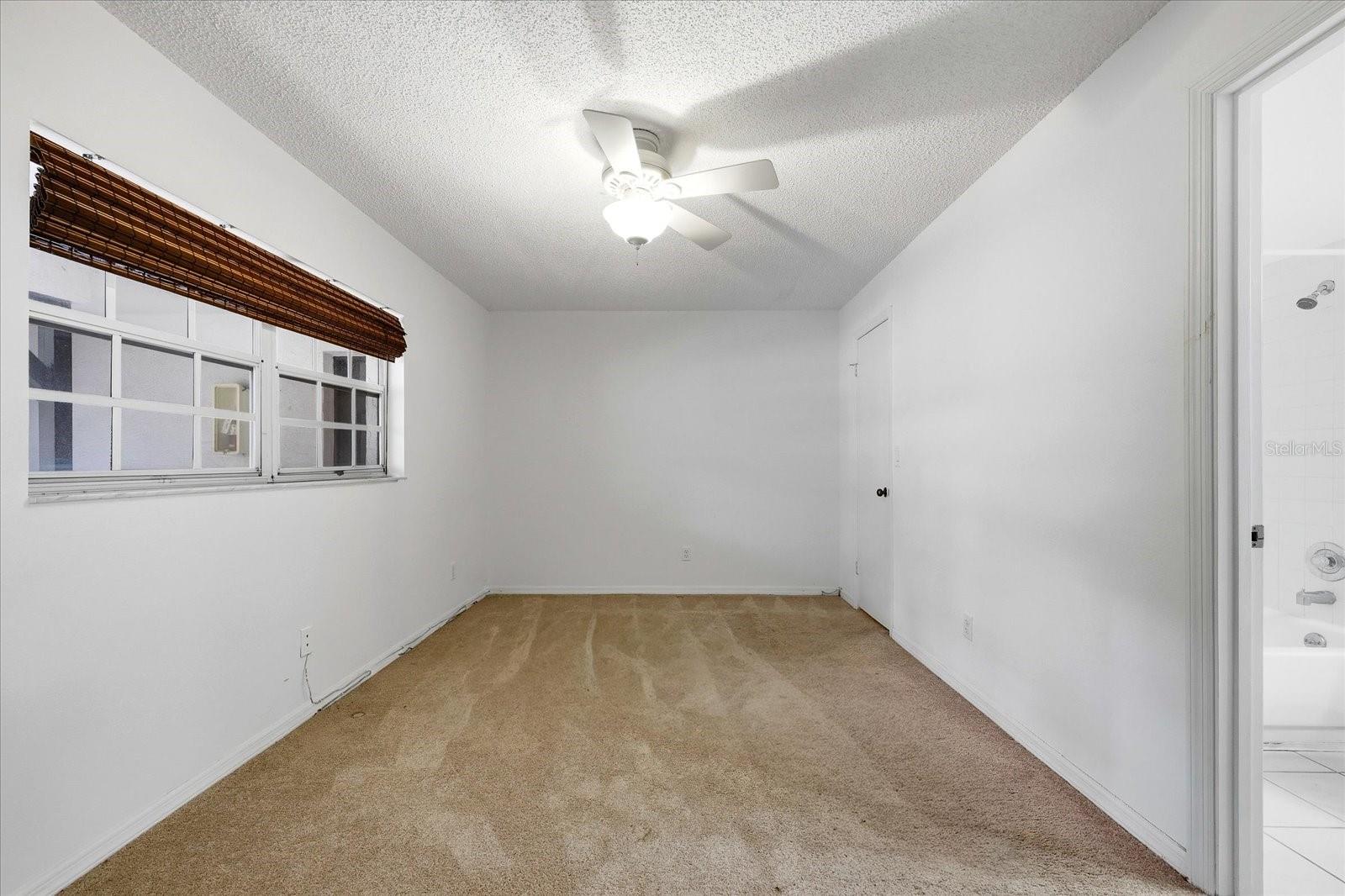 2nd Bedroom carpet, virtually cleaned