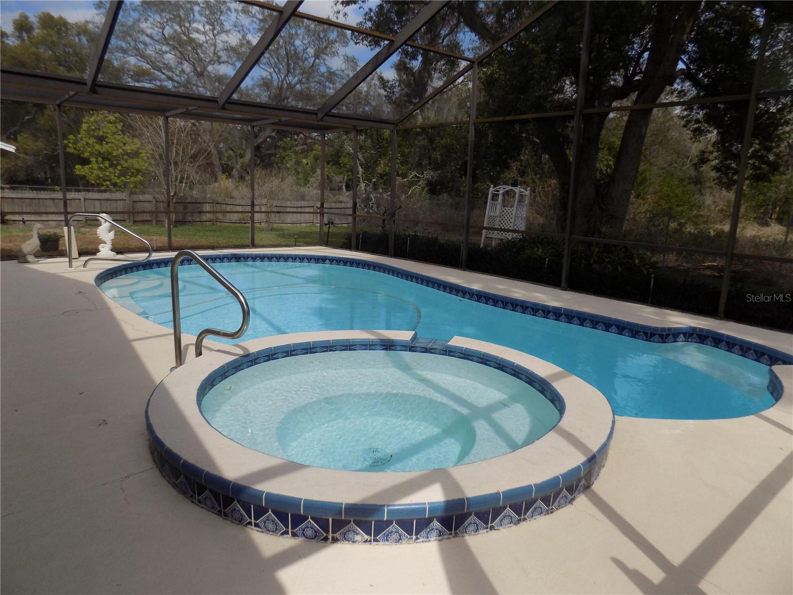 Screened pool with spill-over spa