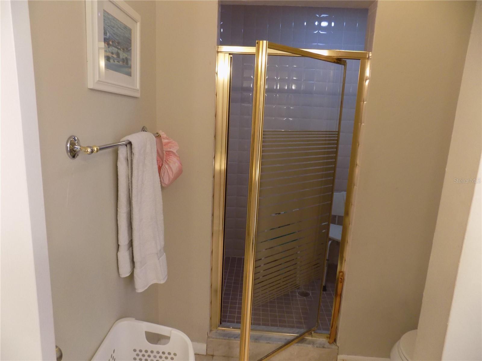 Large walk-in Shower in primary bath