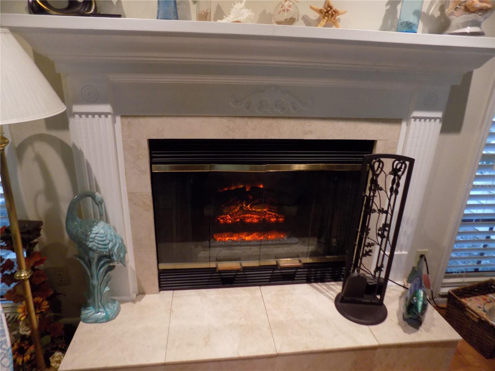 Electric. insert in fireplace (can also be removed for wood-burning fireplace)