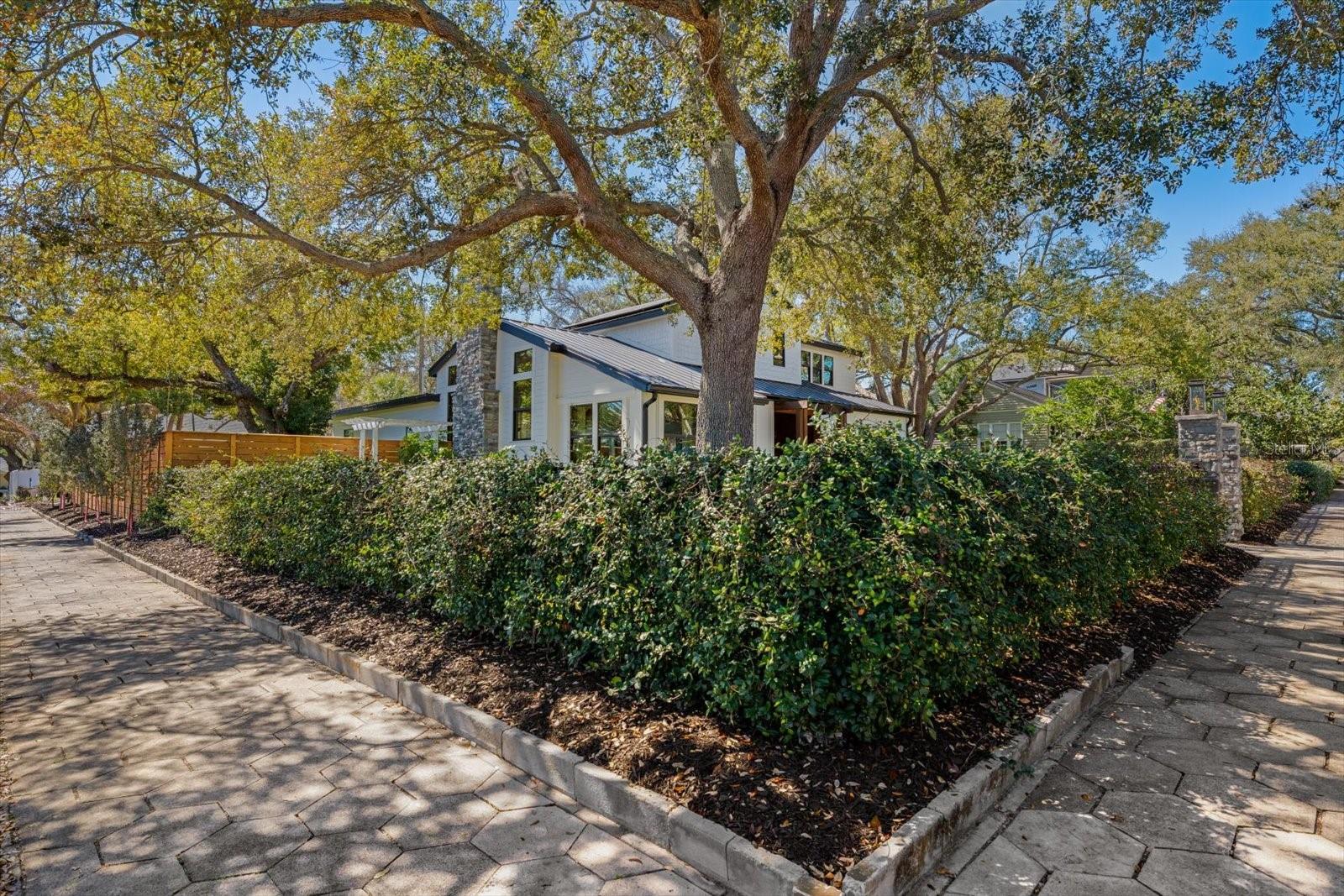 Northeast corner of home, lushly landscaped, lovely trees