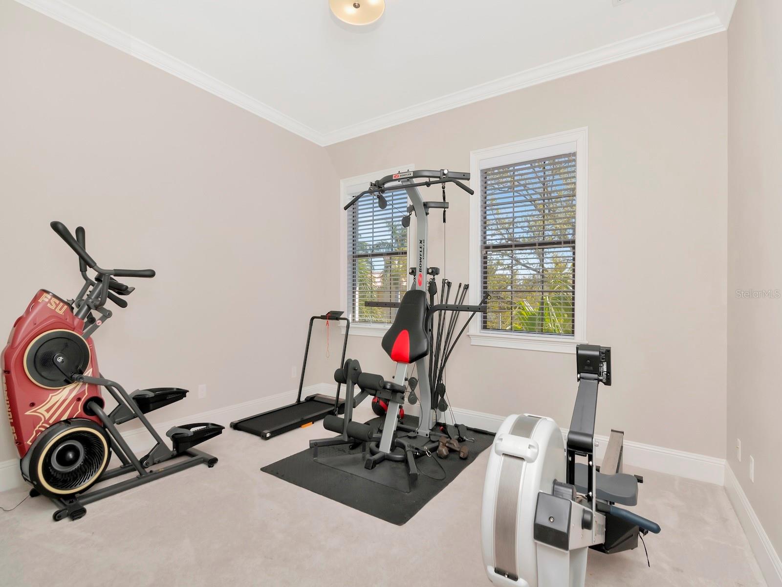 Bedroom #2 (currently serving as home gym)