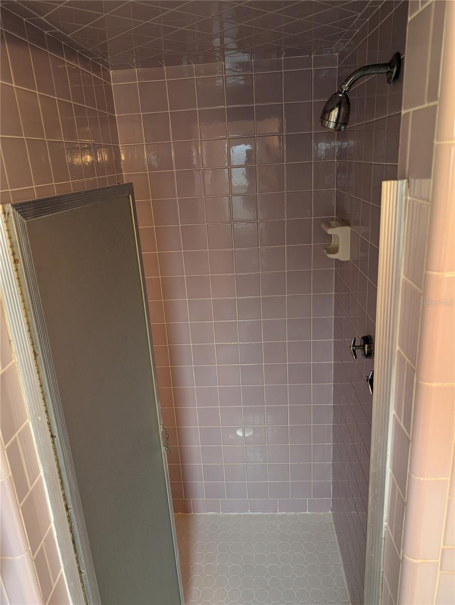 Master Bathroom Shower