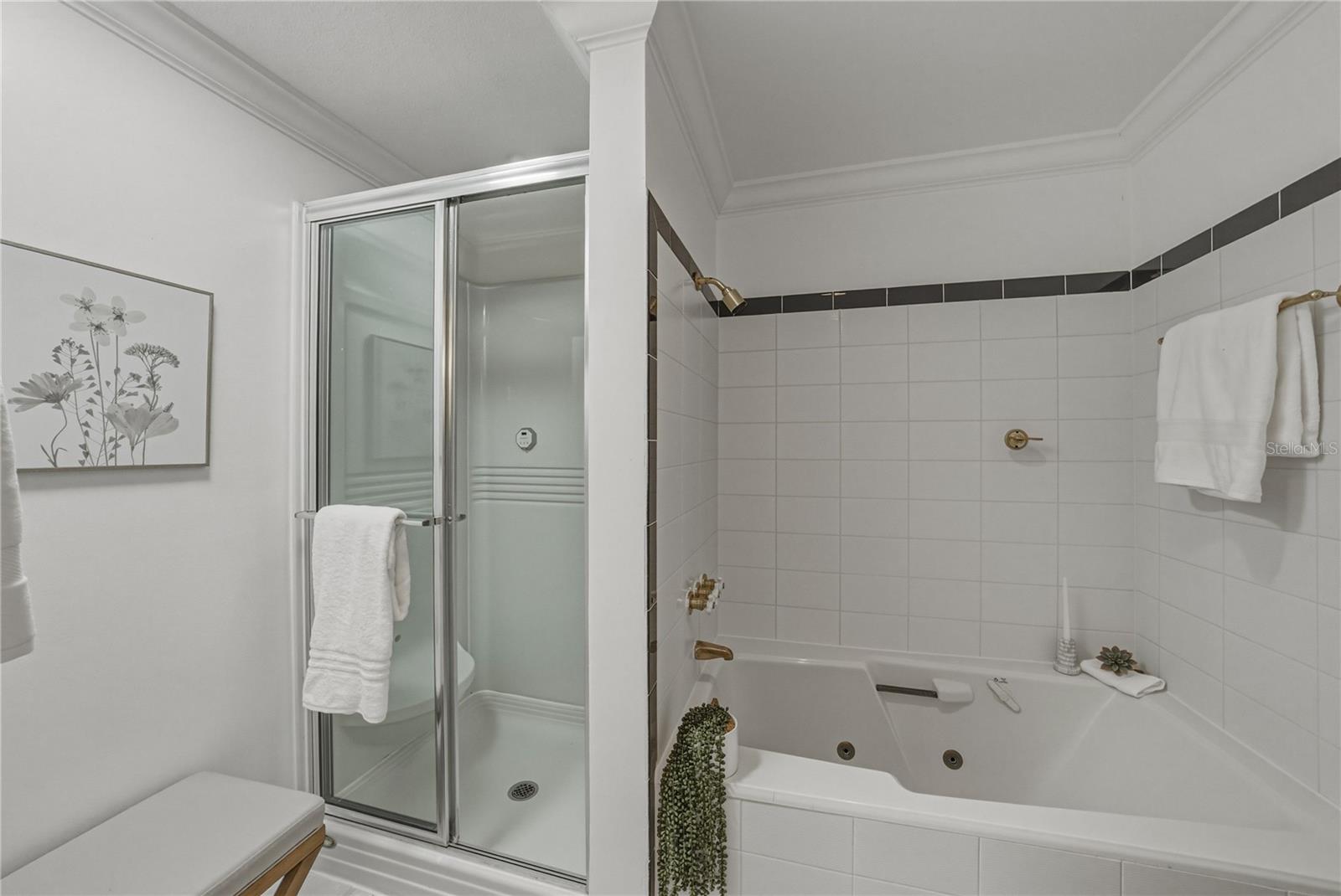 Primary Bath Upstairs