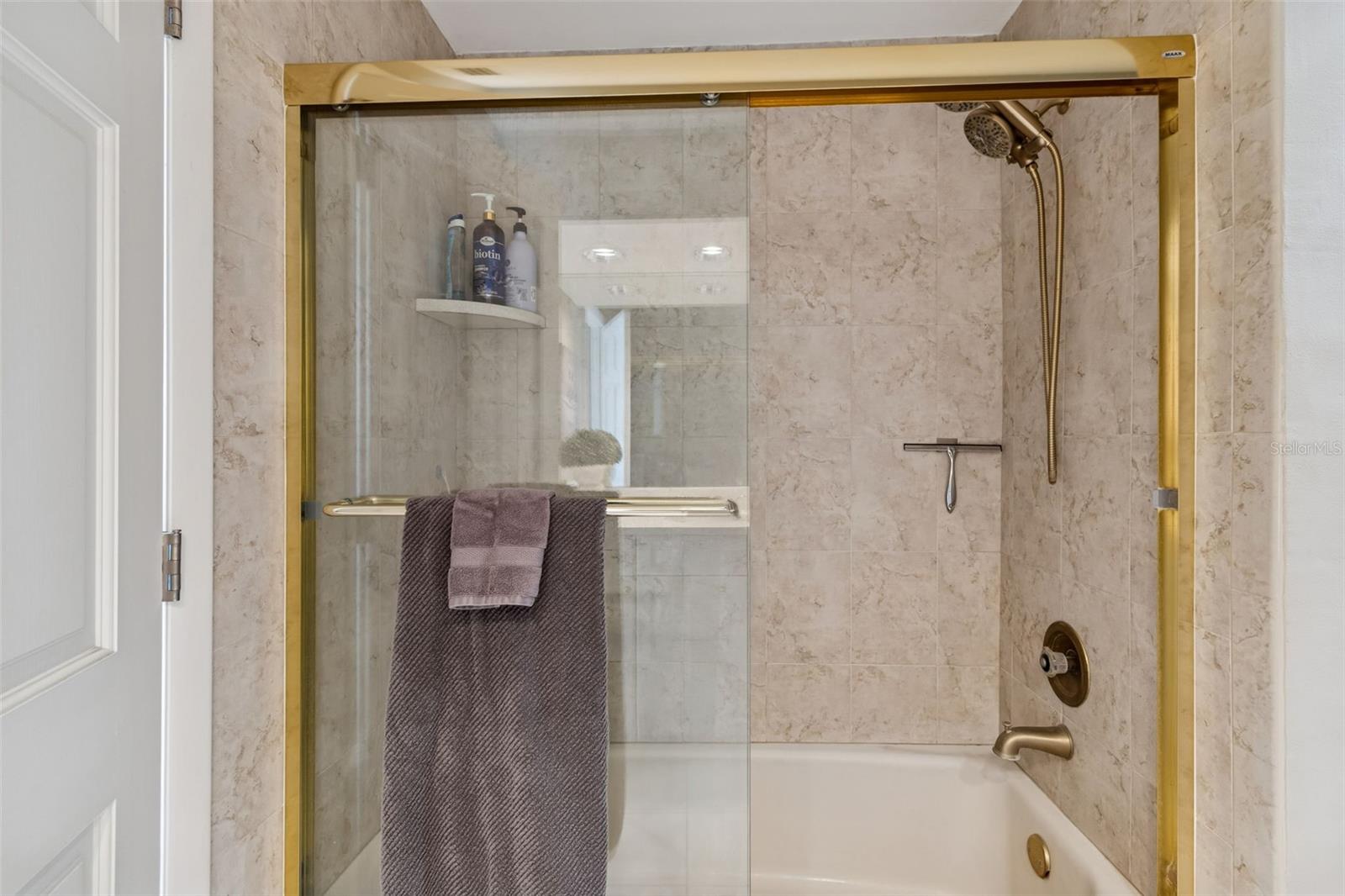 Master shower and tub