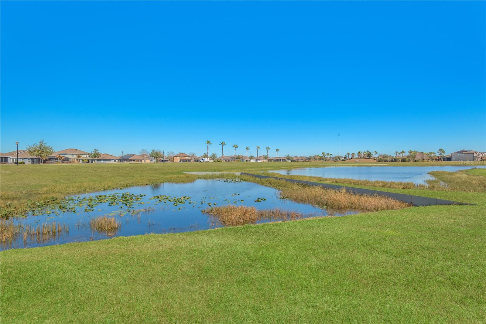 Backyard Pond View