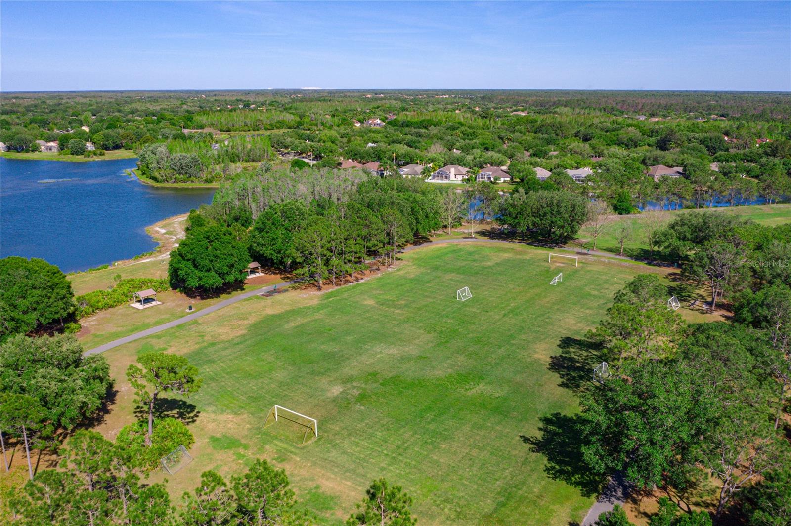 Soccer & Sports Field