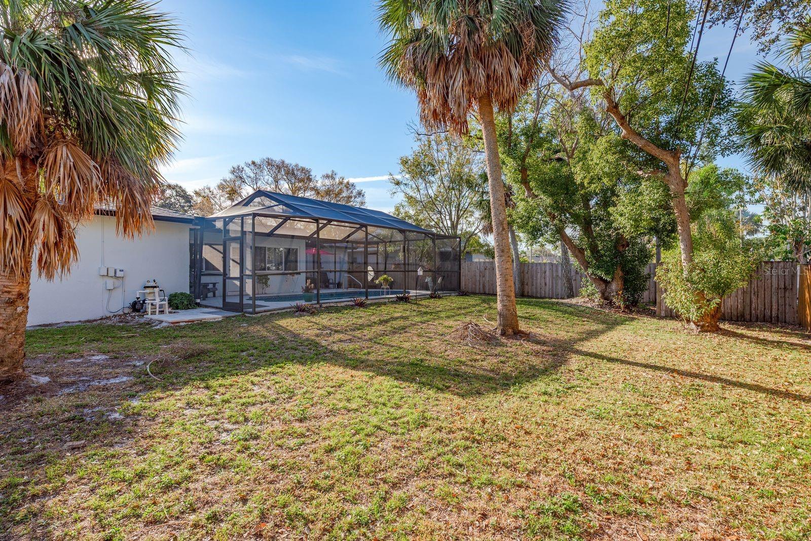 Backyard view with palm trees.