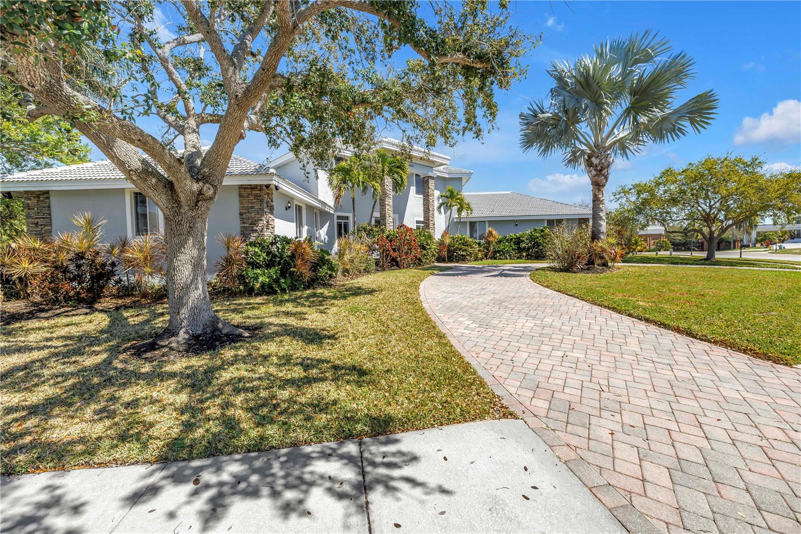 Side view with circular drive