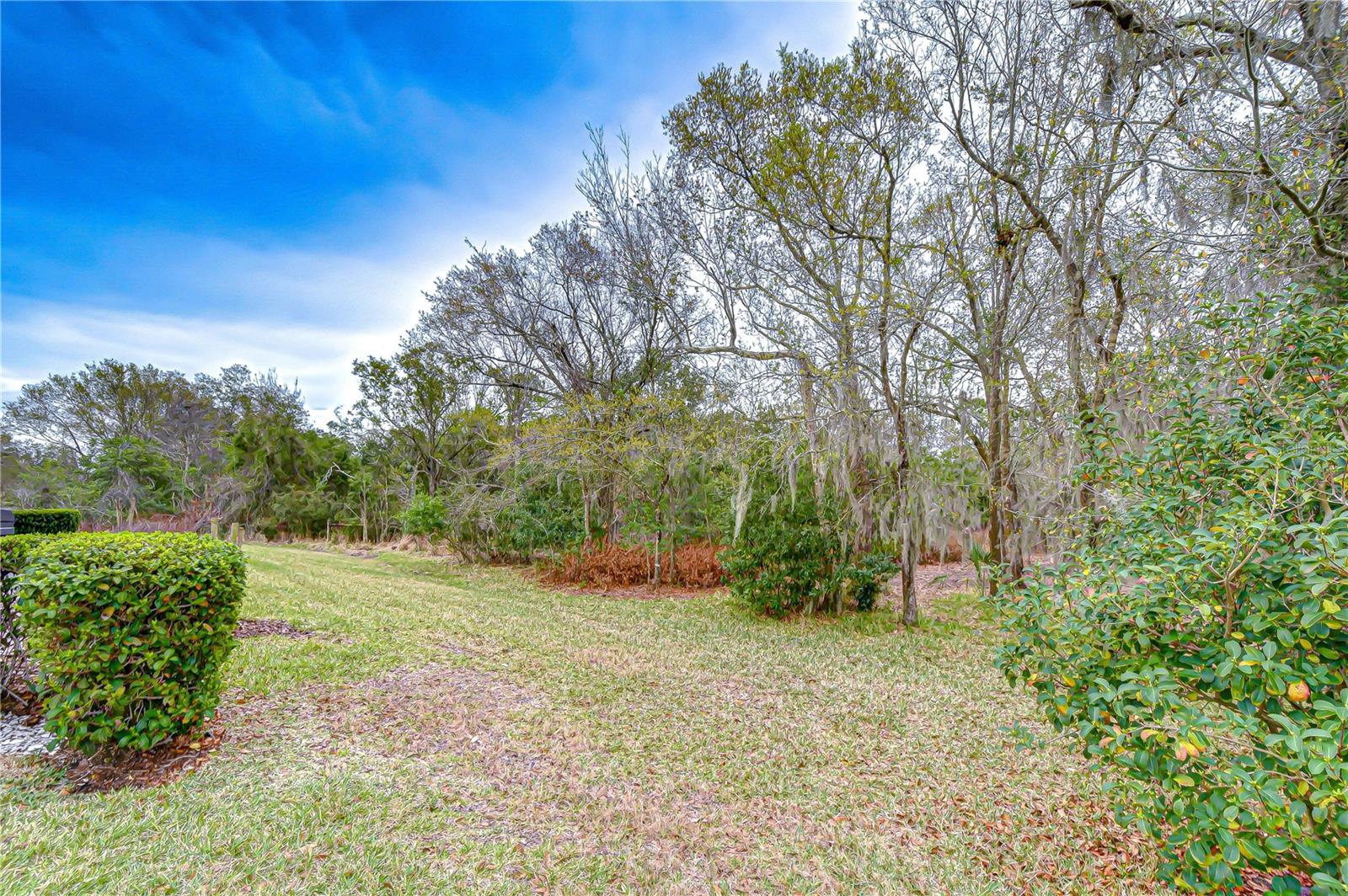 tons of privacy backing to the conservation!