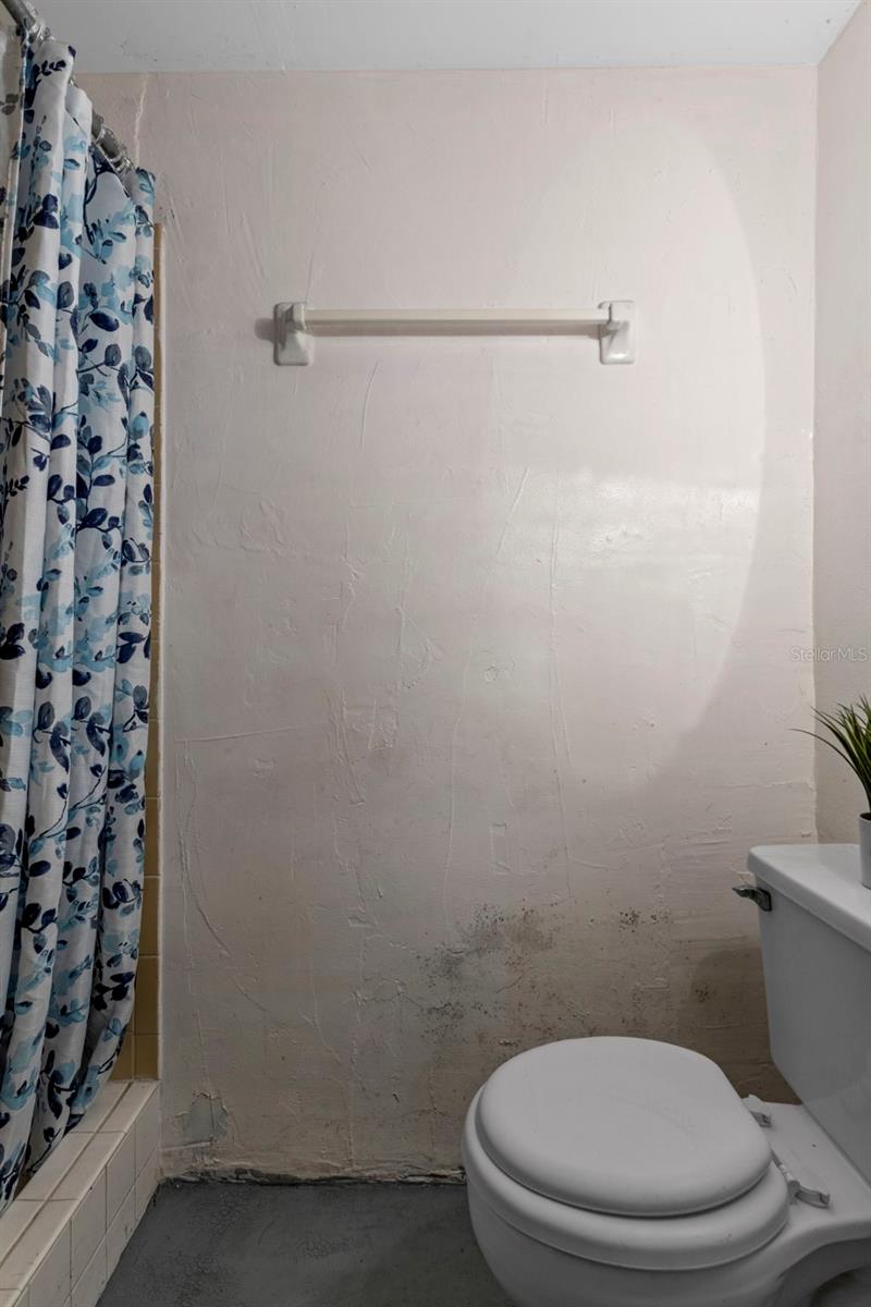 Step=In Shower in the garage