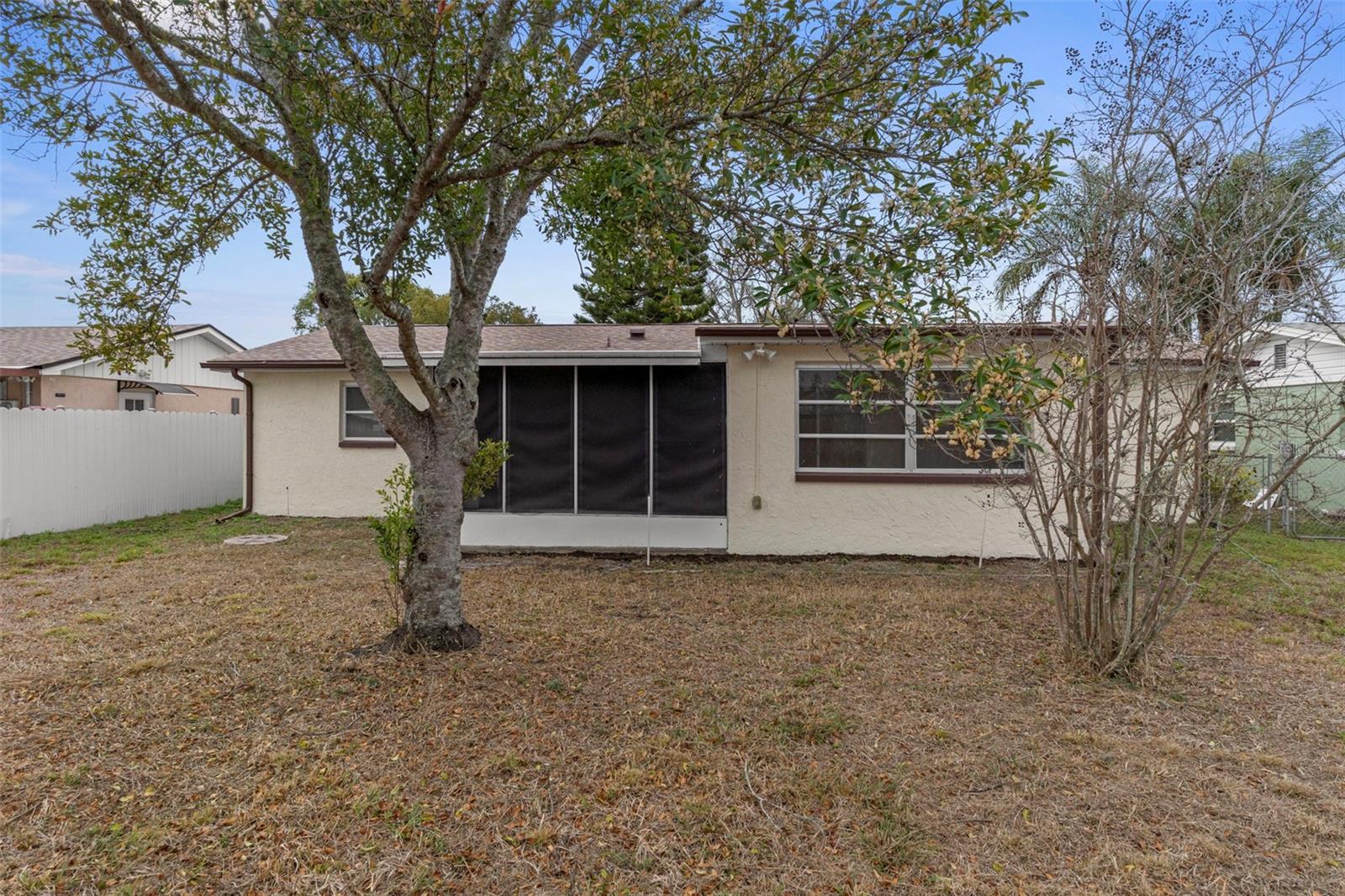 What a gorgeous back yard