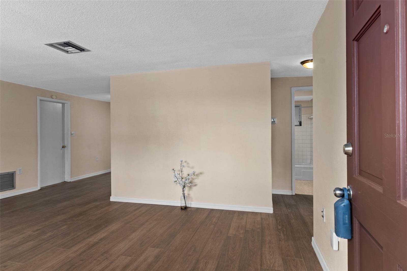 View from the front door, what a spacious living room