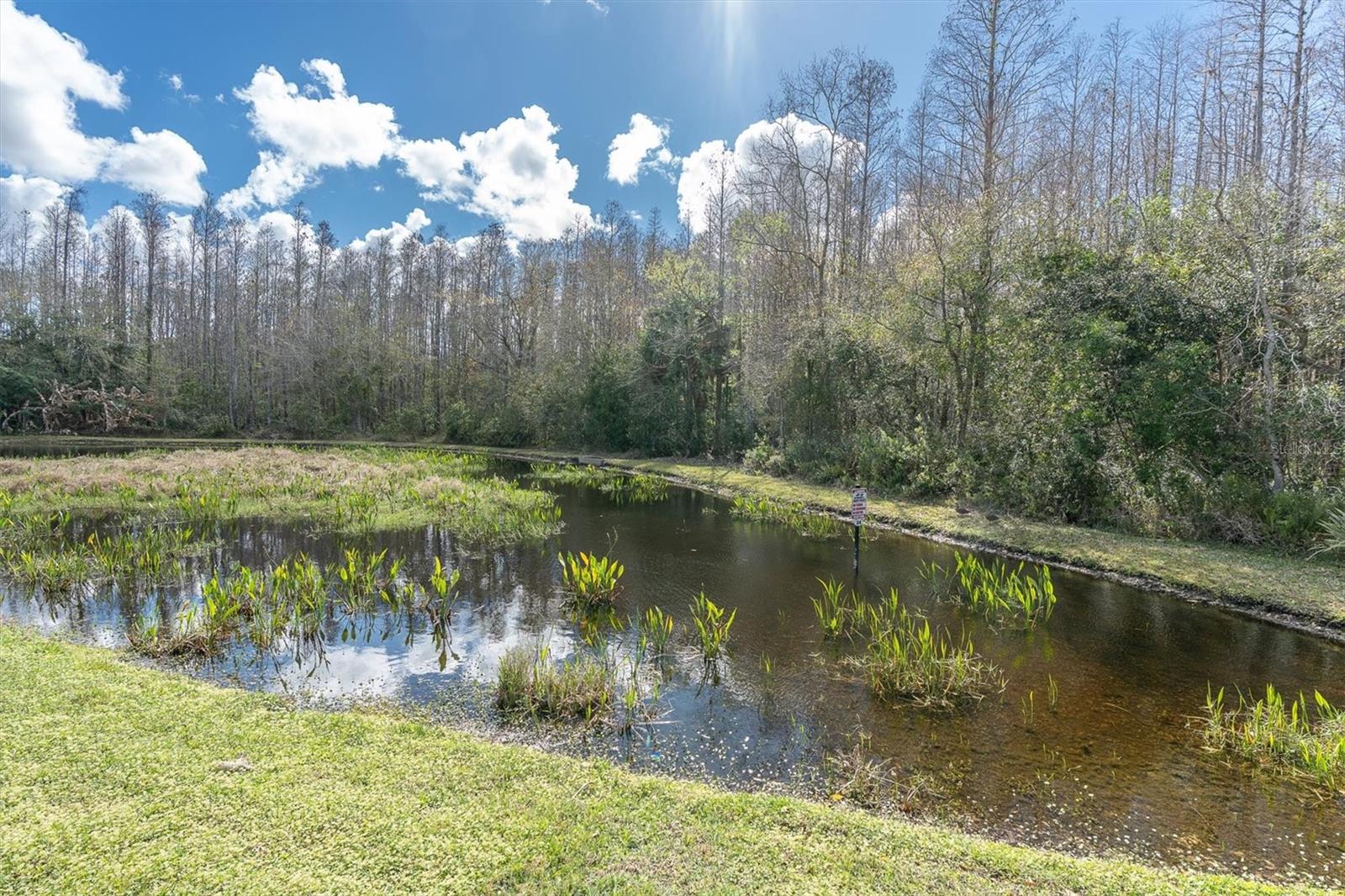 Pond View from 4th bedroom