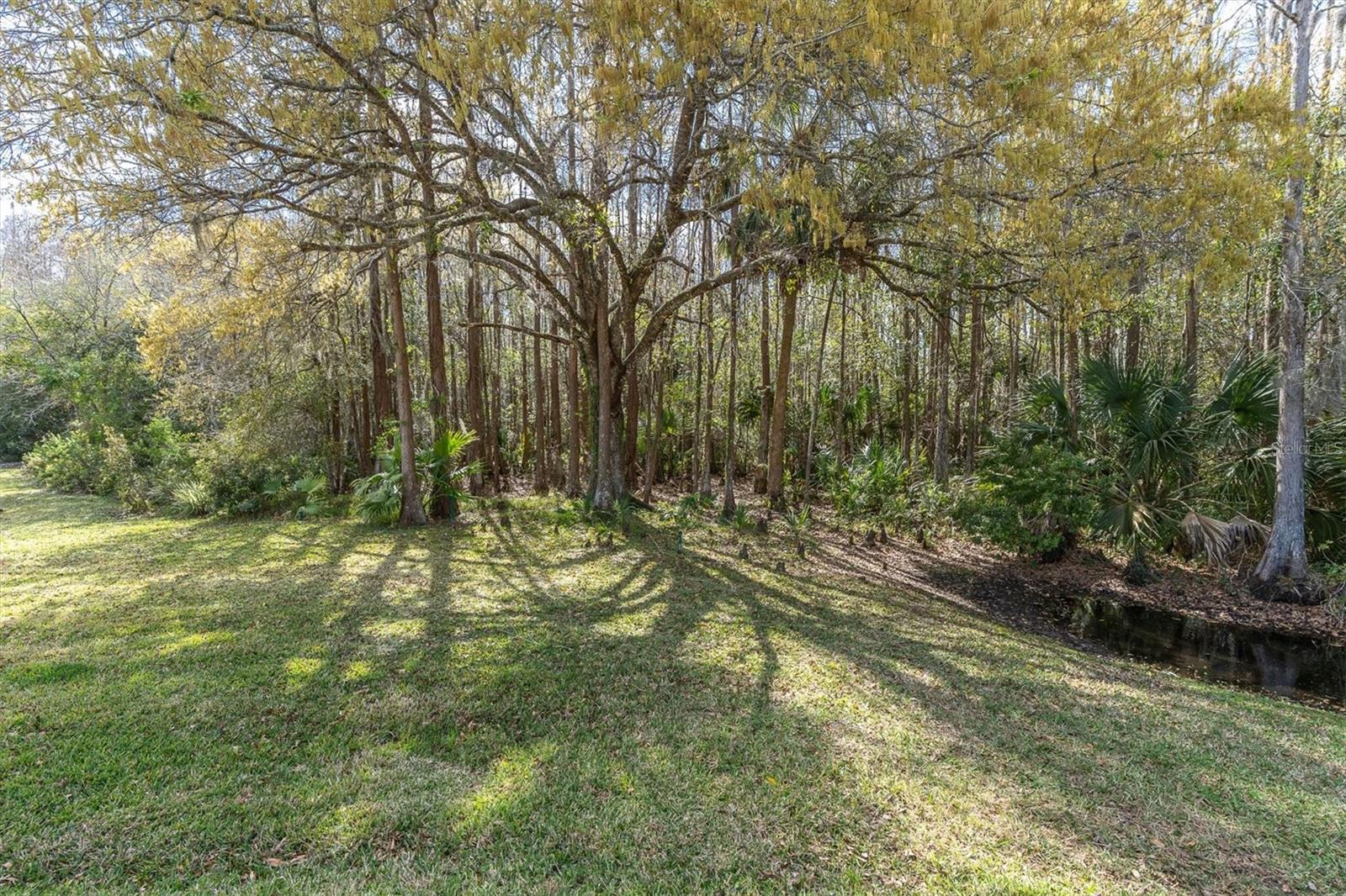 Conversation Lot Views