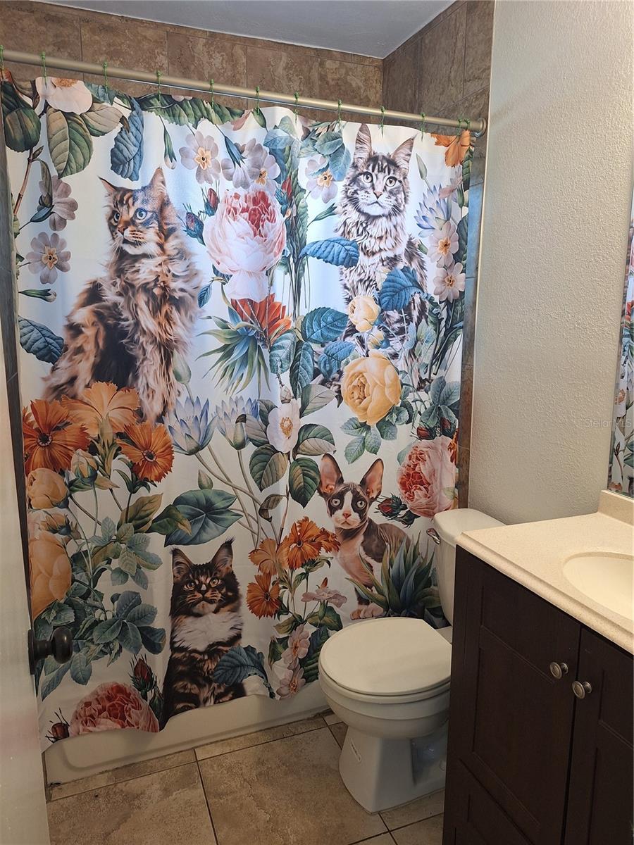 guest bathroom