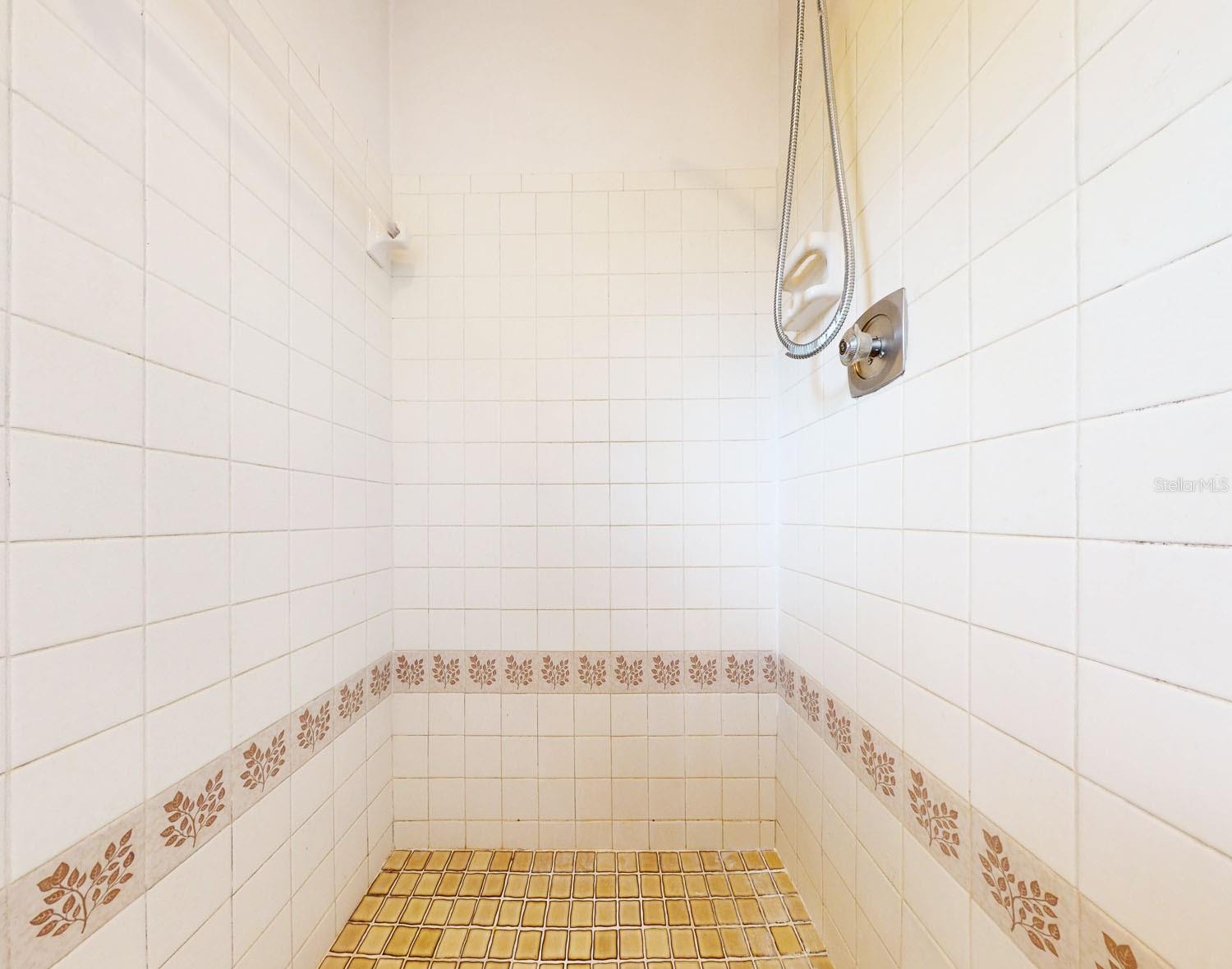 Primary bathroom with walk-in shower