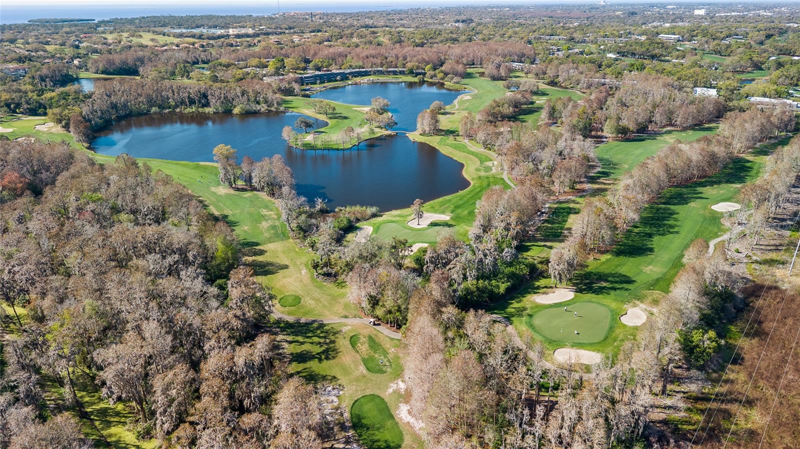 Innisbrook Golf Course Nearby