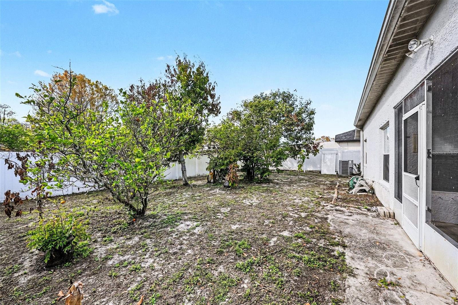 Fenced backyard w/mature fruit trees