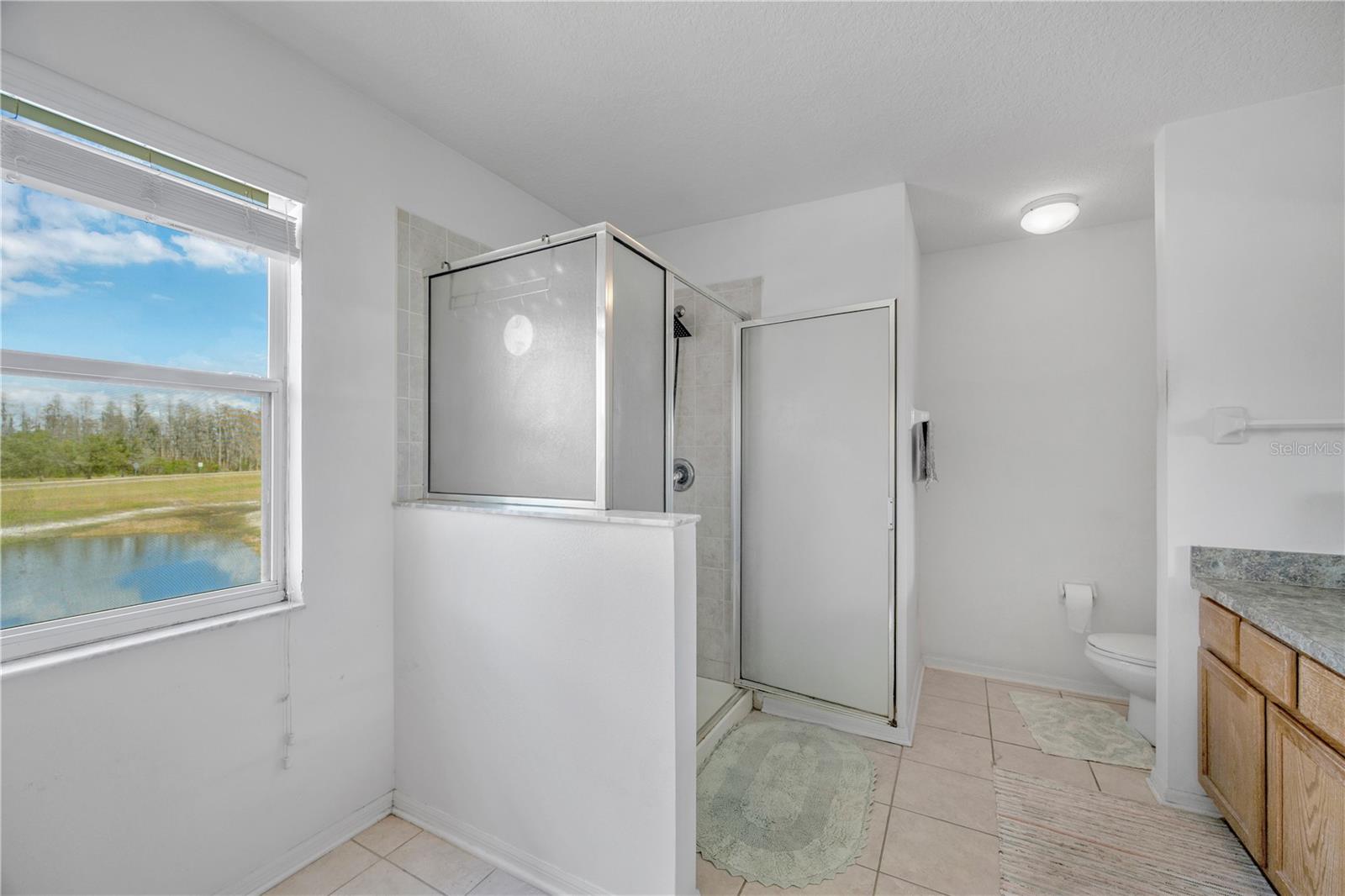 View From Primary Bath