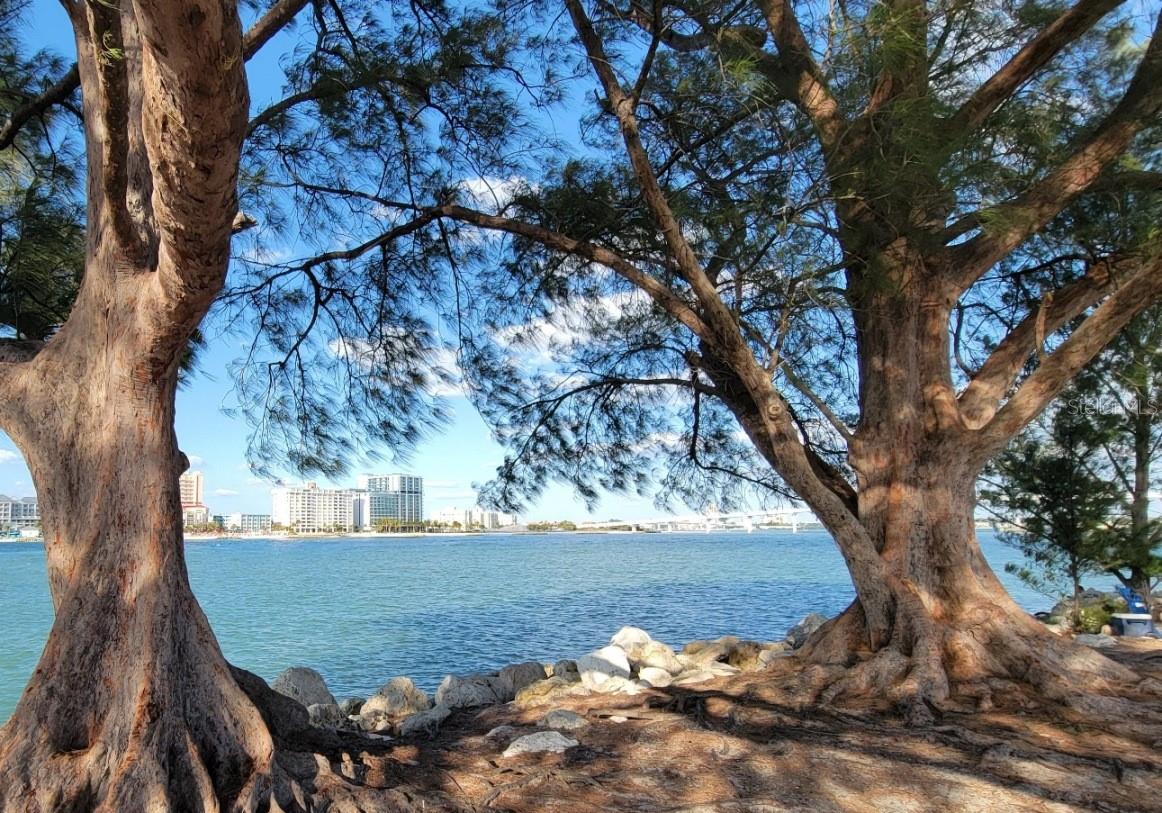 JWM building seen from beautiful SAND KEY park a 4 minute bike ride away