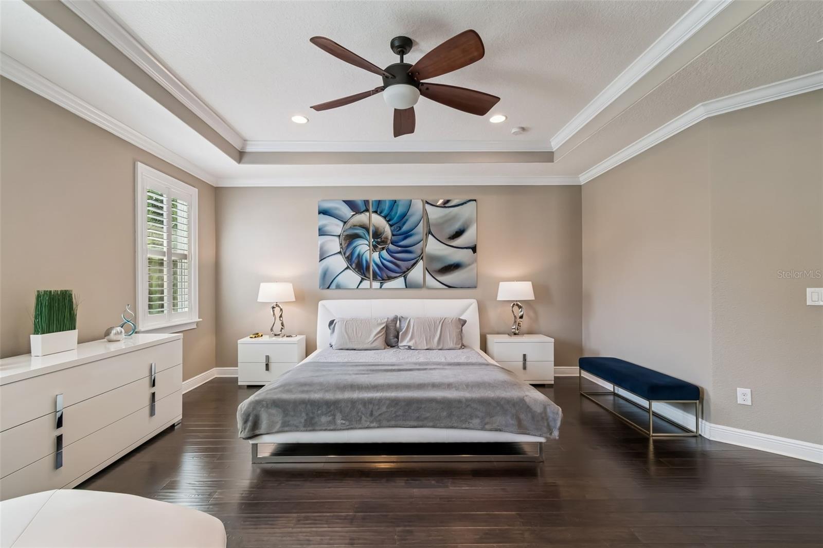 Spacious primary suite with tray ceiling and rich hardwood floors.