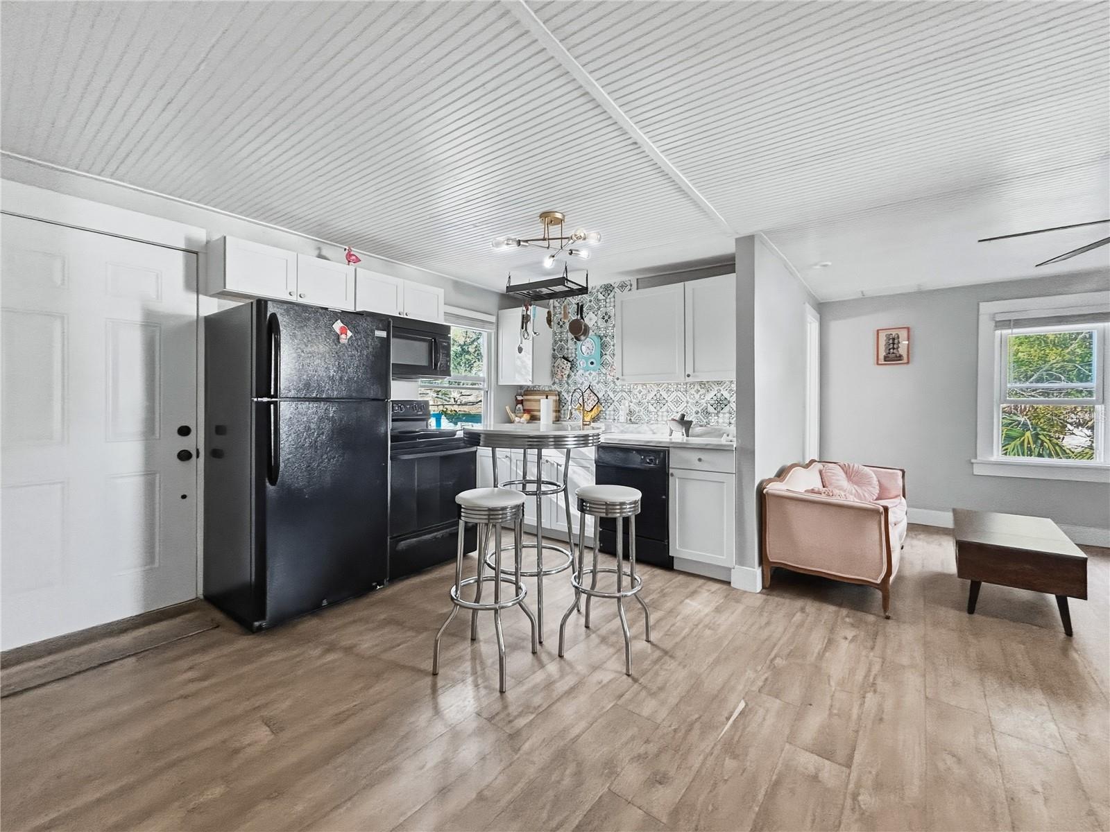 ADU full Modern Kitchen