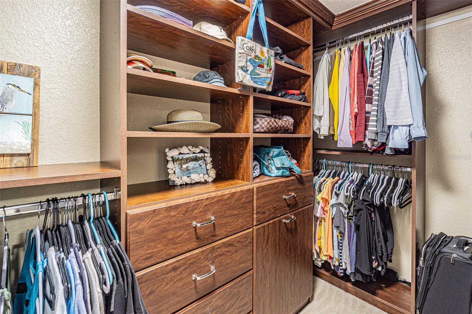 Primary suite - walk in closet