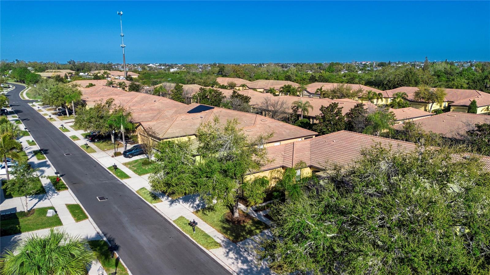 Sunny Apollo Beach on Tampa Bay
