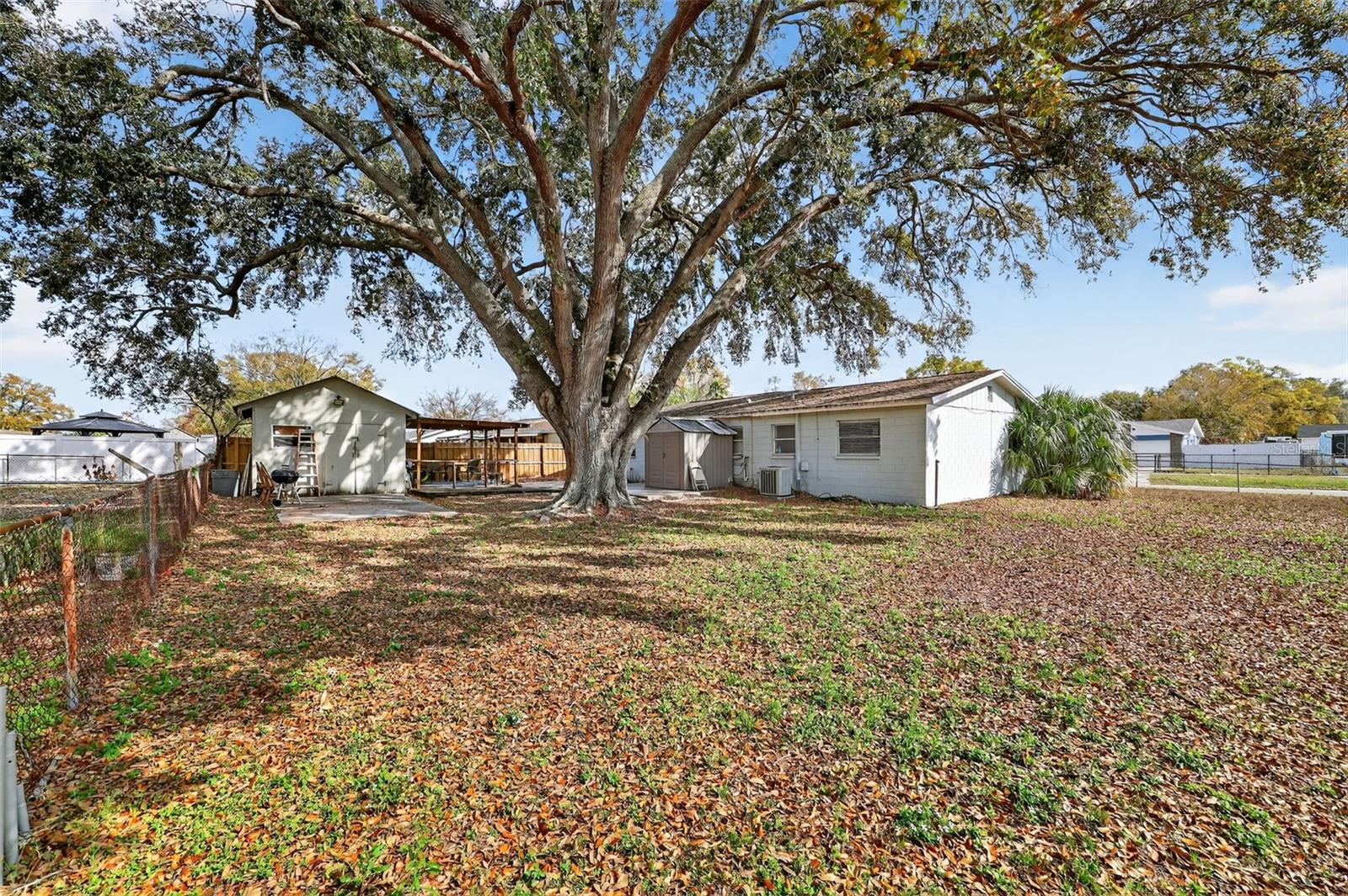 Grand Live Oak offers lots of cooling shade