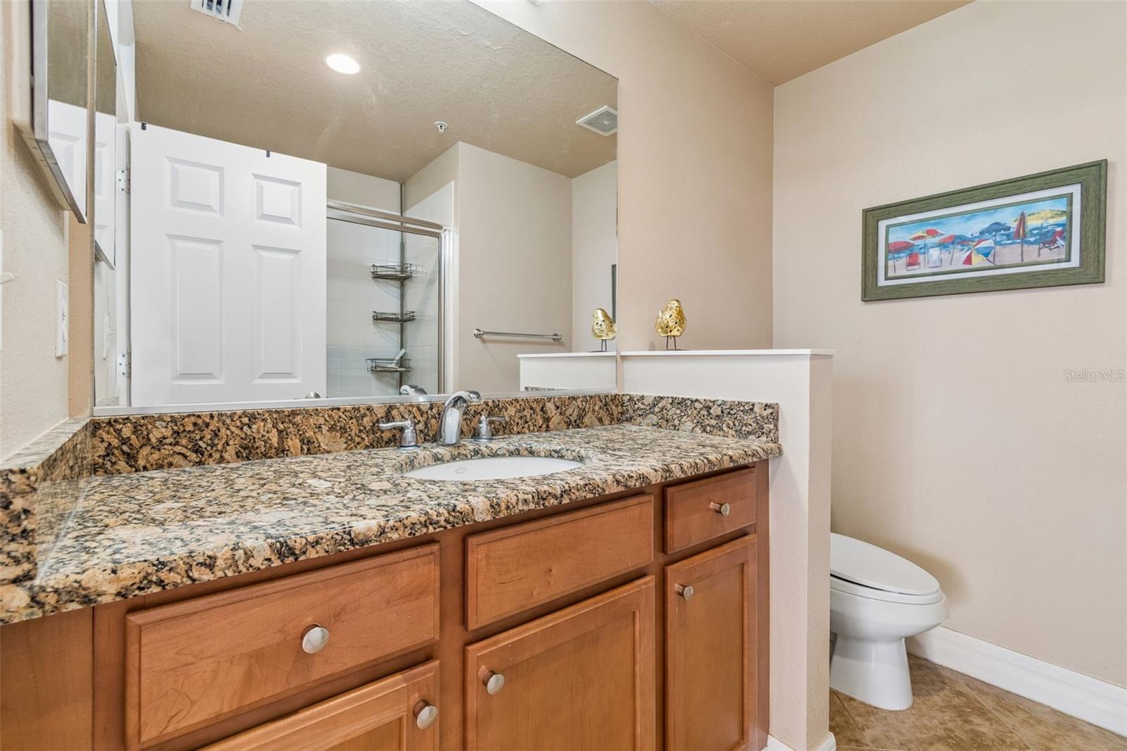Primary bath, granite countertop and shower