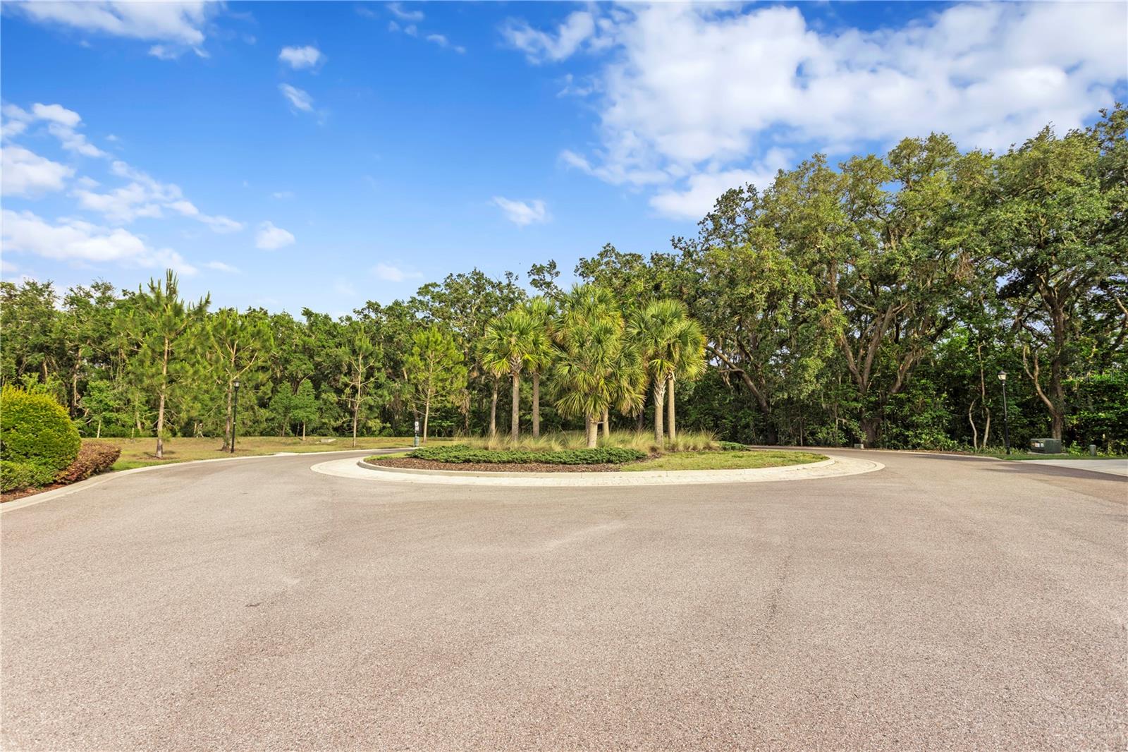 Front View Cut-De-Sac