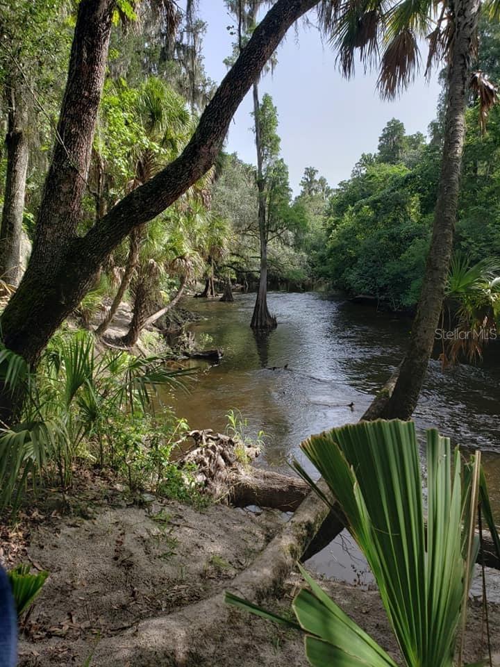 Nature Trail along the Alafia River