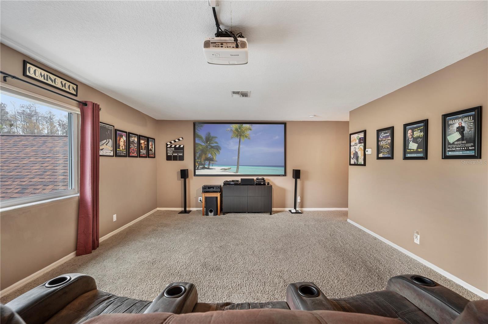 Theater/ Bonus Room