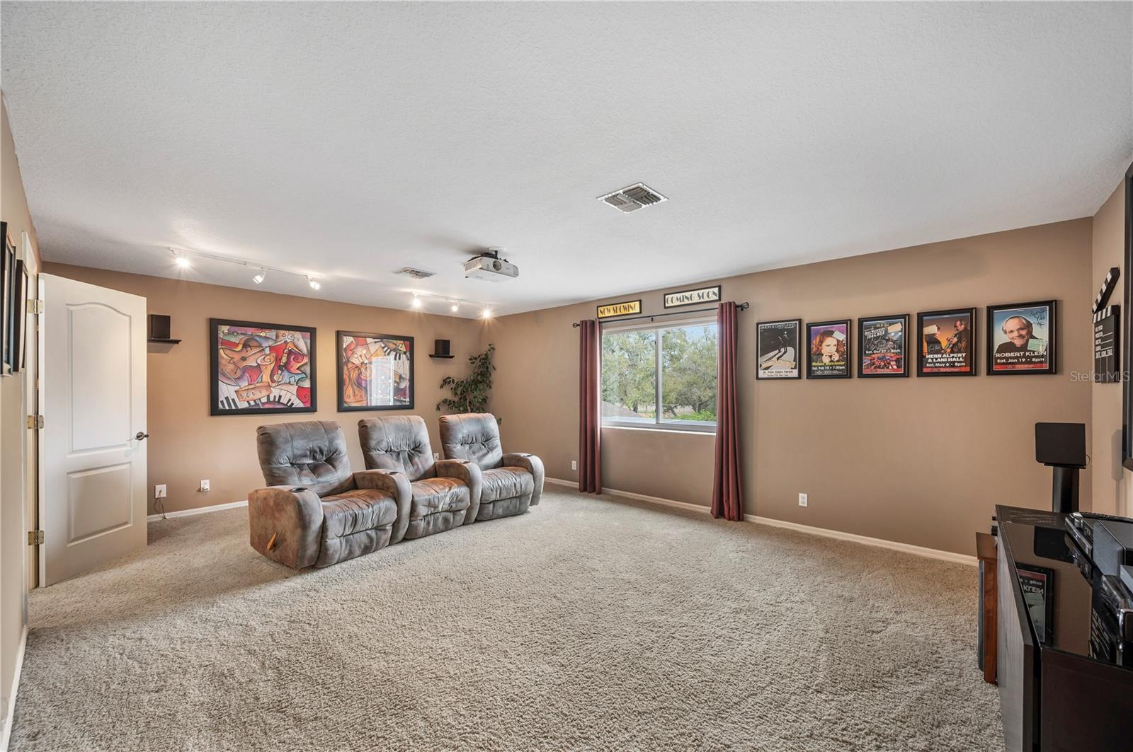 Theater/ Bonus Room