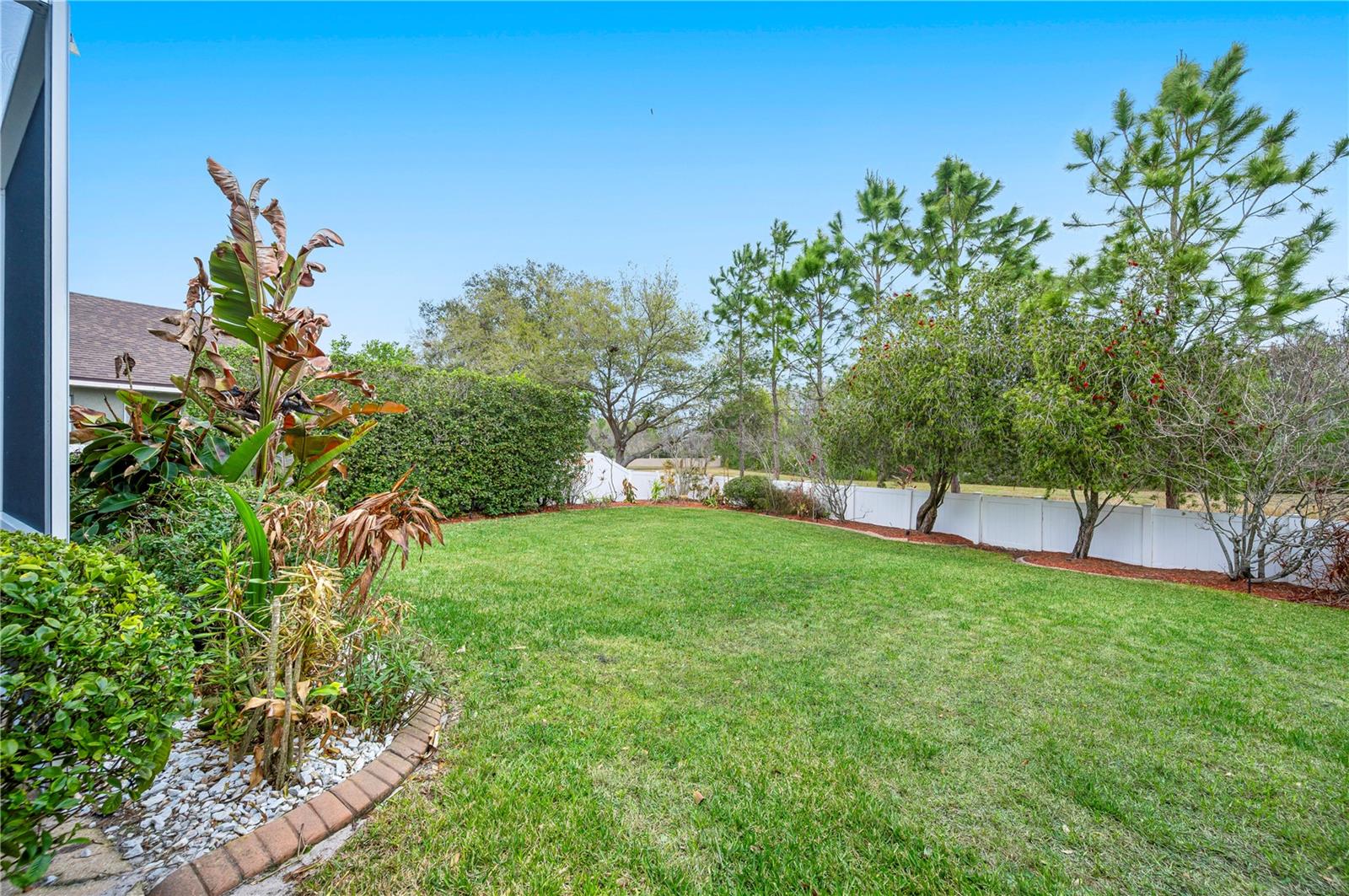 Expansive Fenced Yard