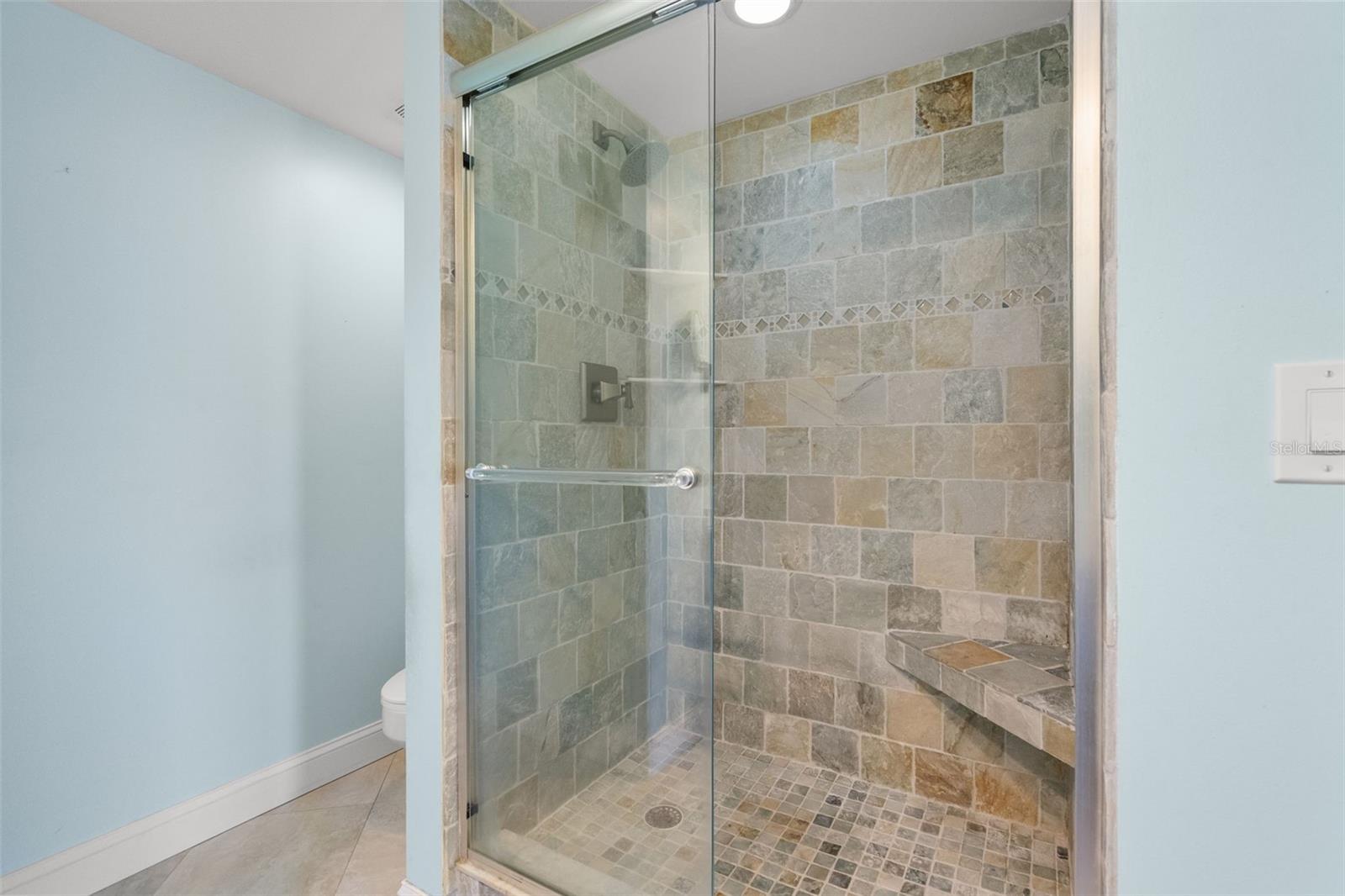 Guest bathroom shower