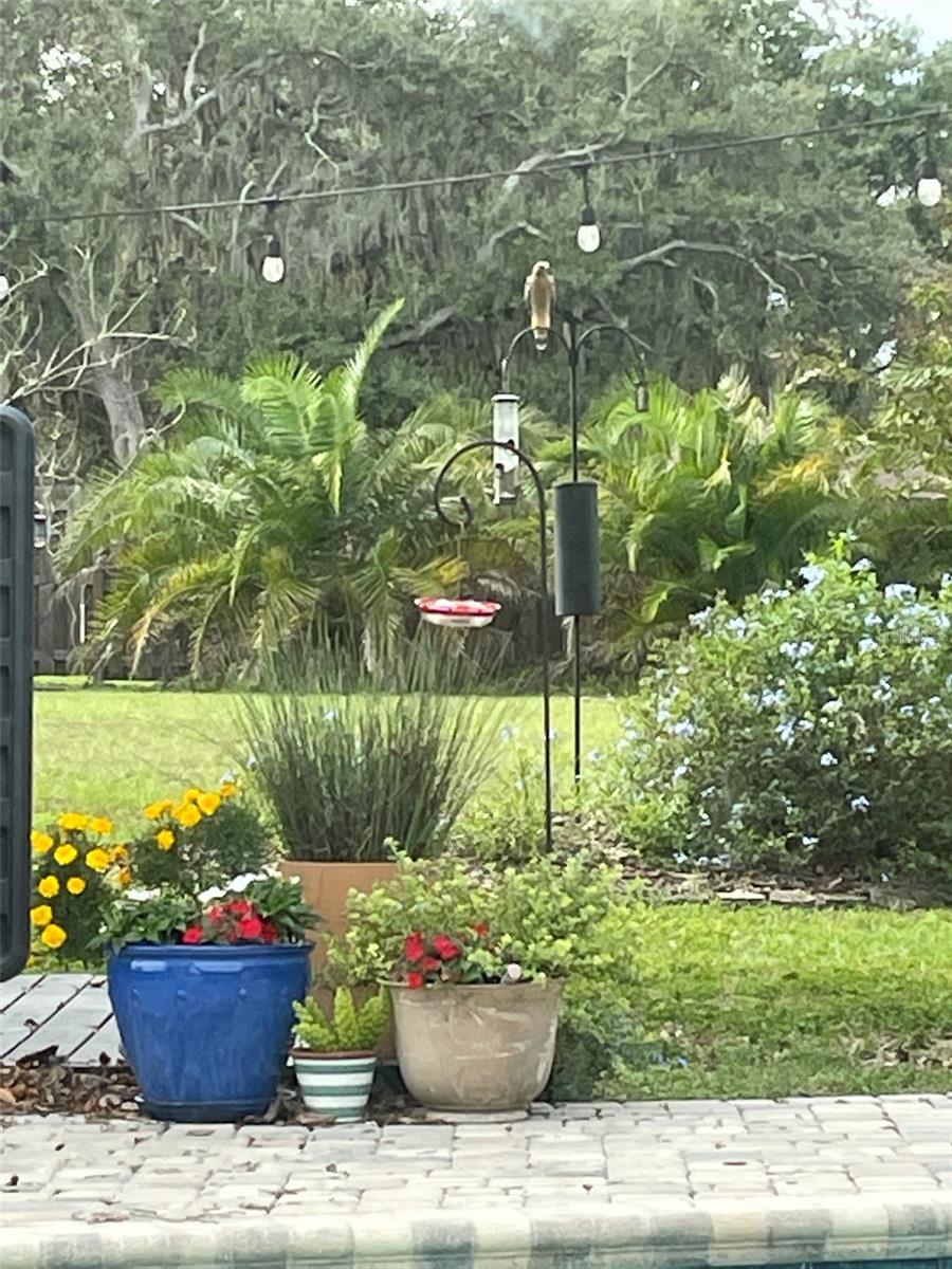 This was taken last summer