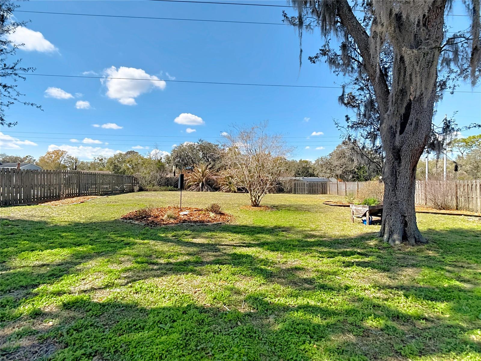 This is a shot taken in the summer when more is in bloom