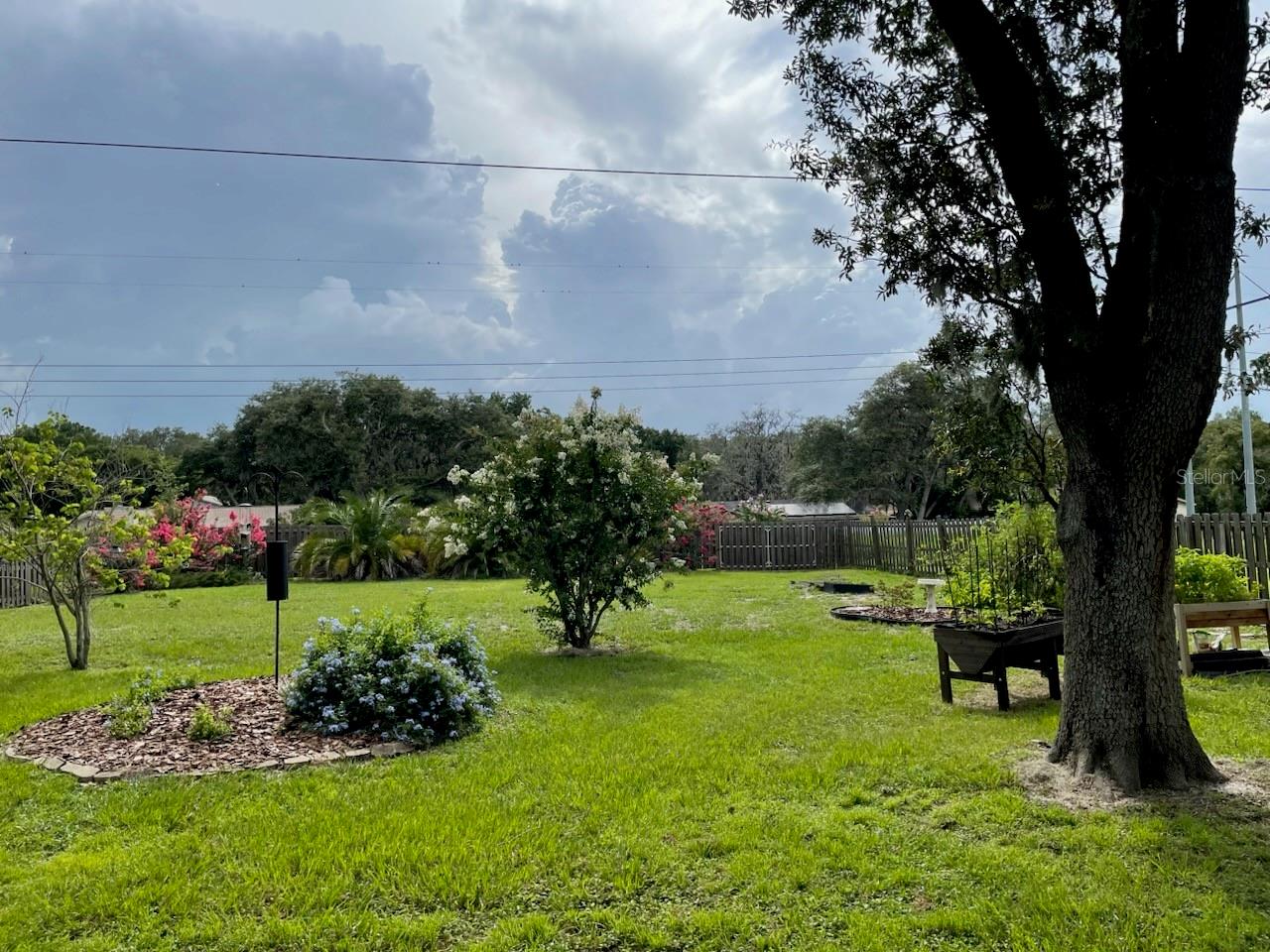 This is a shot taken in the summer when more is in bloom