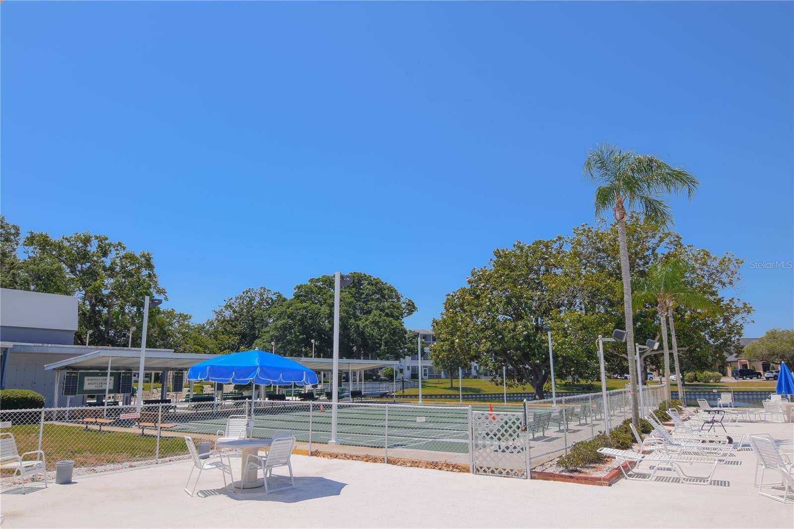 Community Shuffleboard Court