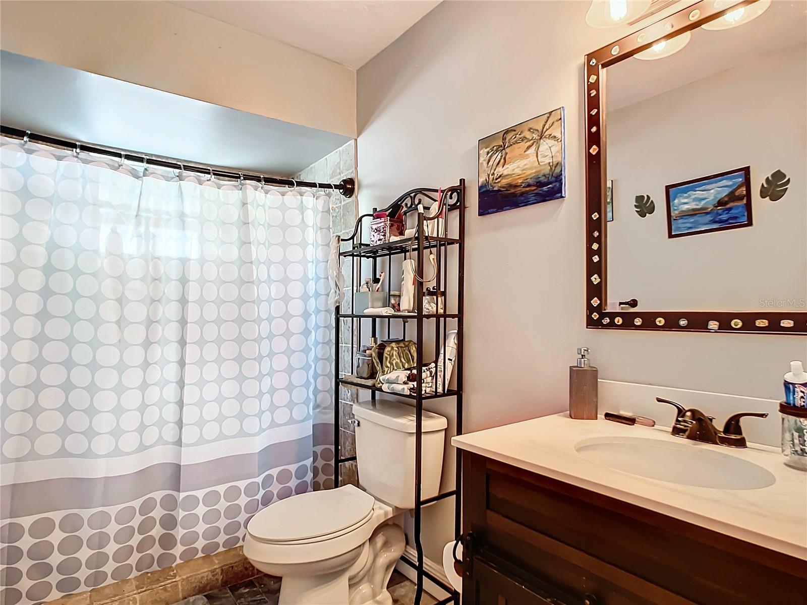 Lower Level Full Bath