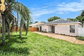 Back yard view with palm trees