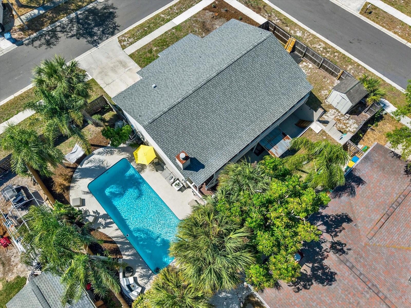 Mature Palm Trees Surrounding the pool