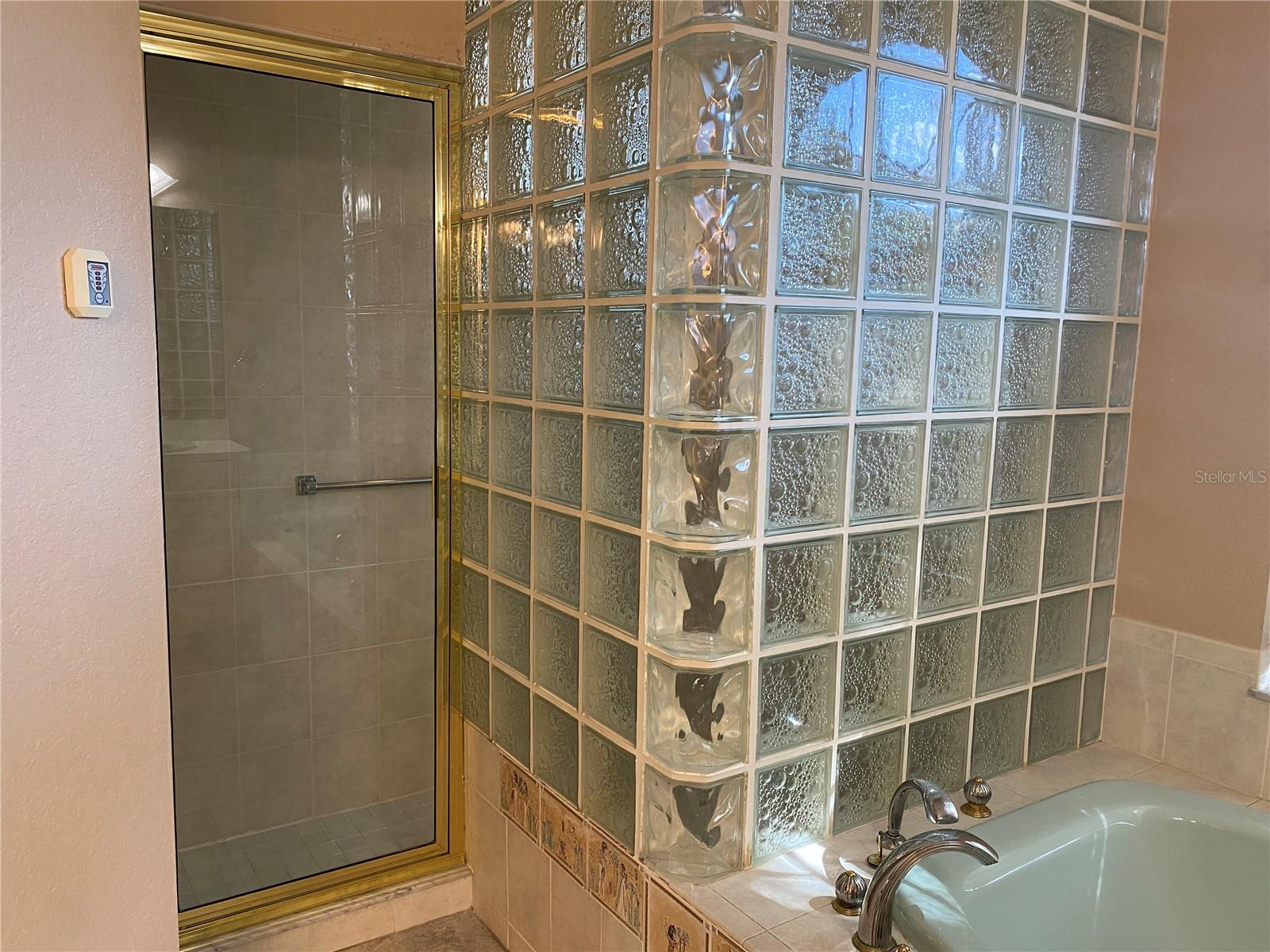 Master Bath with walk in shower.