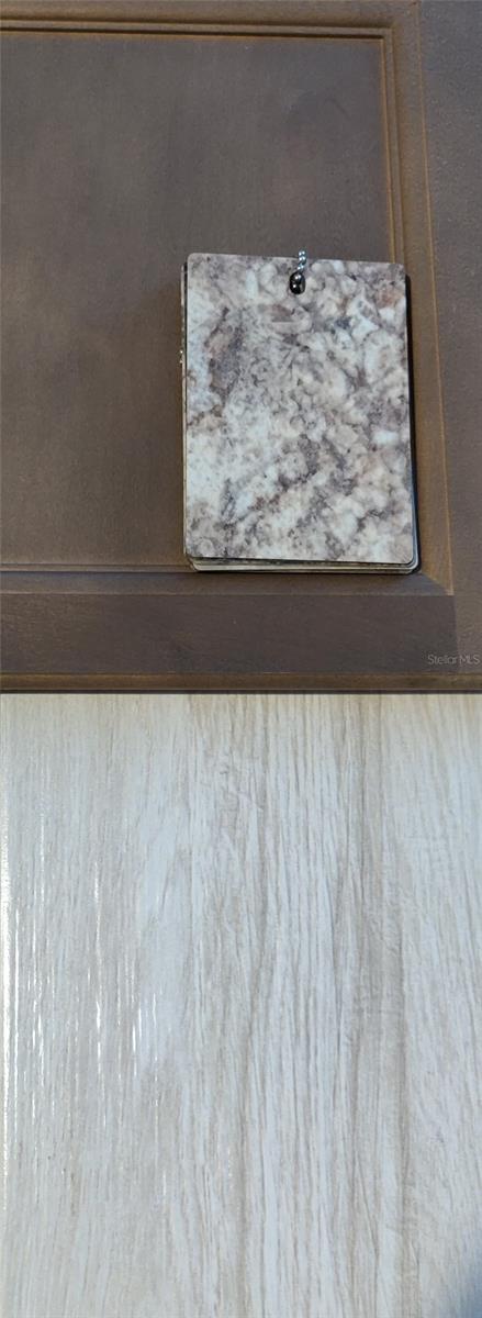 Interior Color Scheme